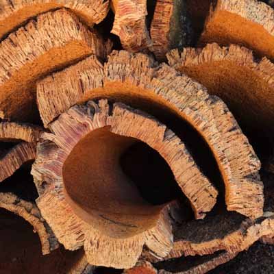 About cork 5 cork bark